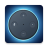 icon Voice Assistant 20.0