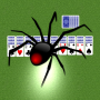 icon Spider Solitaire