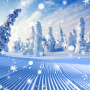 icon Winter Live Wallpaper
