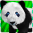 icon Animal world for kids 0.0.5