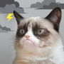 icon Grumpy Weather