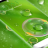 icon Perfect Screen Locker Theme 1.282.13.78