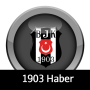 icon 1903Haber