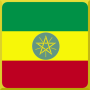 icon Constitution of the FDRE