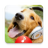 icon Animal Sounds Ringtones Free 4.00