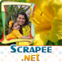 icon Scrapee
