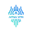 icon APNA VPN 1.1