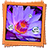 icon Lotus Live Wallpaper 6.4