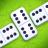 icon Dominoes Master 1.1.6