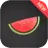 icon Melon VPN 8.1.136