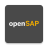 icon openSAP 3.9.2
