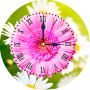 icon Daisy Clock Live Wallpaper