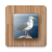 icon Bird Puzzle Games 2.31