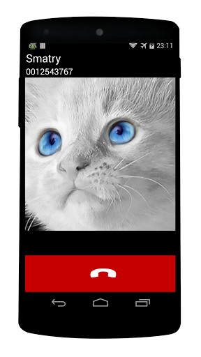 Игра позвони коту. Кот звонит. Звонок для кота. Картинка на звонок котик. Кот позвонил.