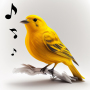 icon Bird Calls, Sounds & Ringtones