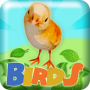 icon Birds 2048