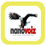 icon nanovoiz