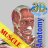 icon 3D Bones and Muscles Anatomy 5.9