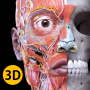 icon Anatomy 3D Atlas for Samsung Galaxy A