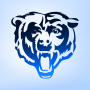 icon Bears