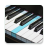 icon Real Piano 5.42.3