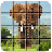 icon Wildlife Puzzle 1.13