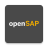 icon openSAP 3.9.6