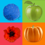 icon Learning Colors for Kids for Bluboo D2
