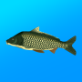 icon com.andromeda.truefishing