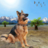 icon com.PanoramaStudio.ShepherdDogSimulator3DOfflineWildAnimalGames 2