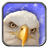 icon Eagle Live Wallpaper 7.0